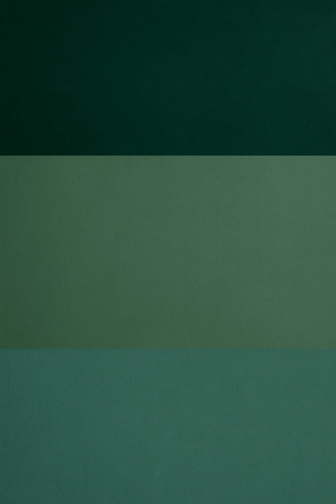 Verdes profundos, bosque, salvia y eucalipto